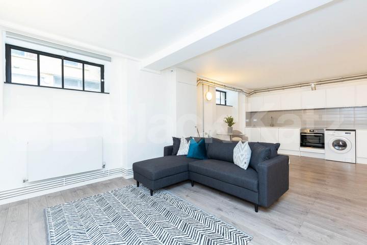 A large and spacious open plan studio within a warehouse convertion Springfield House lofts - Tyssen Street, Dalston / Haggerston